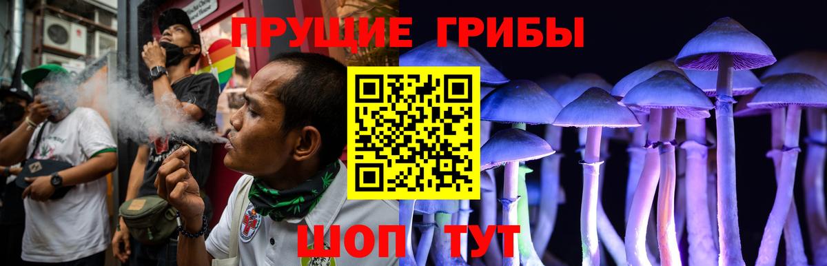 Галлюциногенные грибы мицелий Кызыл